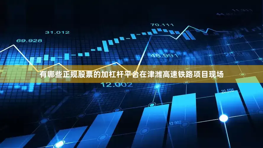 有哪些正规股票的加杠杆平台在津潍高速铁路项目现场