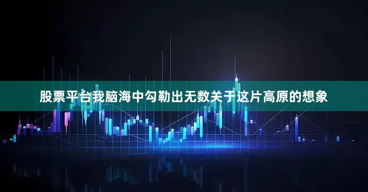 股票平台我脑海中勾勒出无数关于这片高原的想象