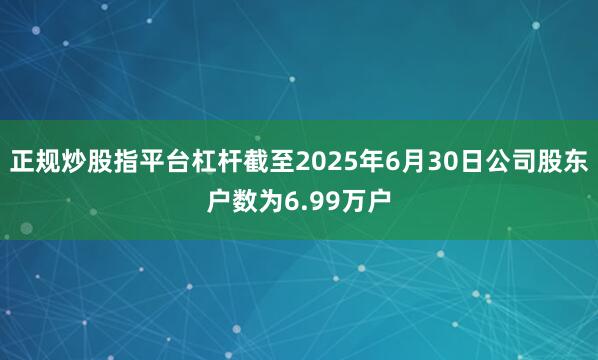 正规炒股指平台杠杆截至2025年6月30日公司股东户数为6.99万户